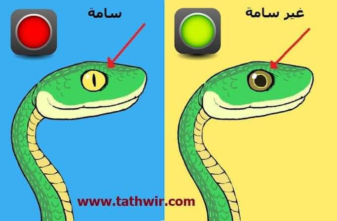 AhmedRgp4's tweet photo. #انشر_دعوه_11نوفمبر https://t.co/wiFDkW9oAH