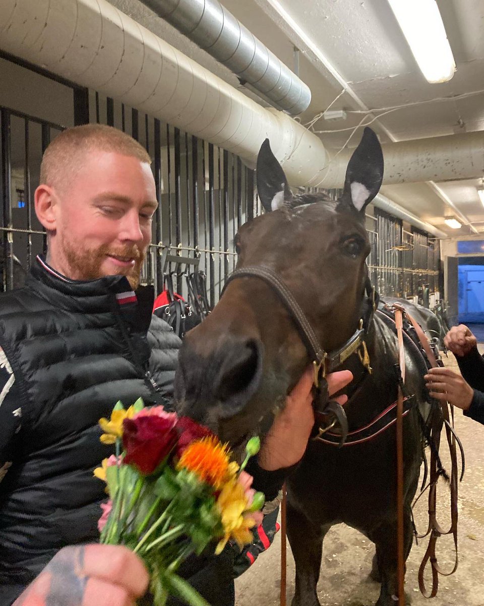 GsonRob 🐎 tweet media