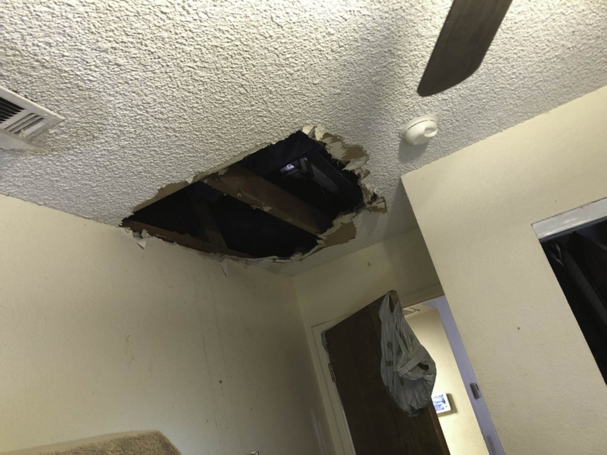 Follow us on all of our social media platforms to make sure you stay up to date with all of our Residential Drywall services. You can find the links on our website below! #ResidentialDrywallServices bit.ly/3F6tvaW