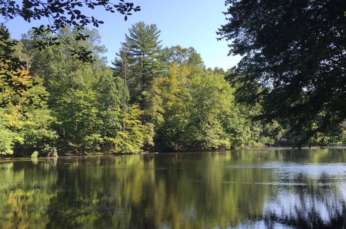 InMindfulLeader's tweet photo. Mindful Leadership for the 21st Century© Retreat

Only a Few Spaces Left

Learn More and Register:
https://t.co/LhbMTt0xiC

#mindfulness #mindfulleadership #resilience #leadership #mindfulnessretreat #leadershipretreat https://t.co/642xkiLC5d