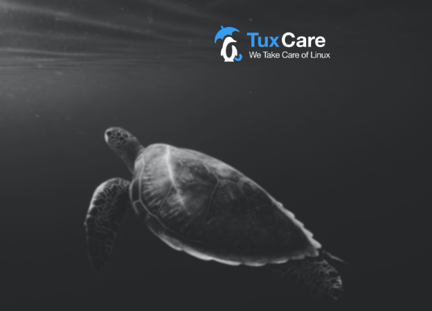 TuxCare_'s tweet photo. #SysAdmins are responsible for tens of thousands of #servers; even a minor slowdown can result in significant technical issues. Does #LivePatching cause or aid in resolving these issues?
Learn More: https://t.co/A4P0iZY2B0
#Linux #CyberSecurity #Vulnerability #CVEPatching https://t.co/V6wqFOjV49