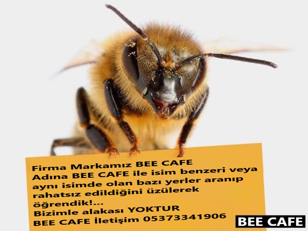Beeworldtr's tweet photo. https://t.co/SUaNgn2HYo