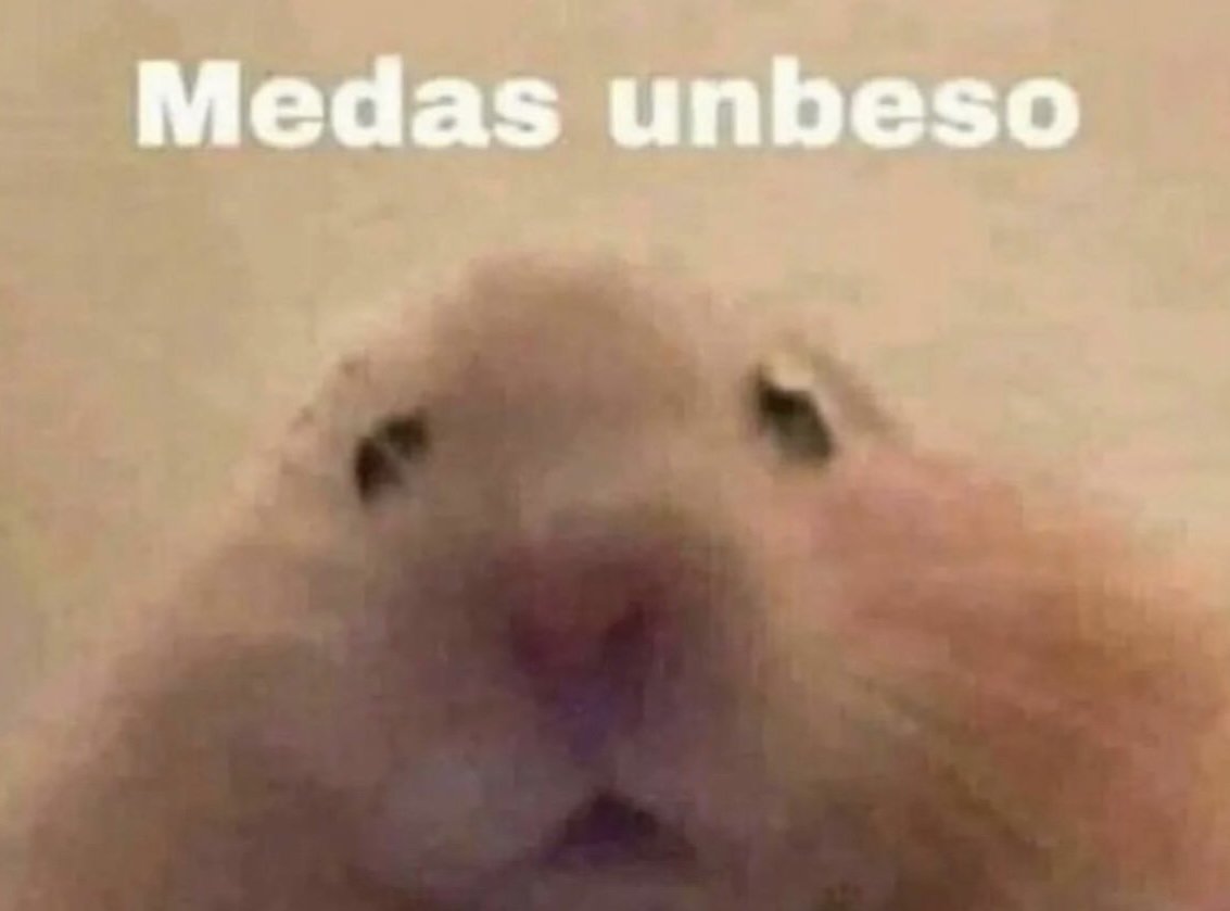 tobby1rockfull's tweet photo. Yo: *Me le acerco mucho a mi amorcito*
Mi amorcito: ¿qué quieres?
YO: https://t.co/9TkBrmvumz