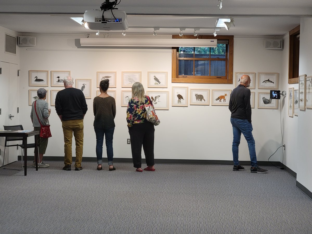 Here's some photos from our recent artist reception with Carolyn Munaco from the Cornell Cooperative Extension Marine Program!

We had a blast, but if you couldn't make it, her work will be up until October 10th for you to check out on your own.