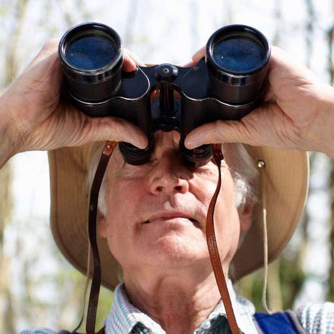 kurtisconner's tweet image. bird watchers be like “hey look its a zippy zippy zoom zoomy yellow-beaked cockthrobber”