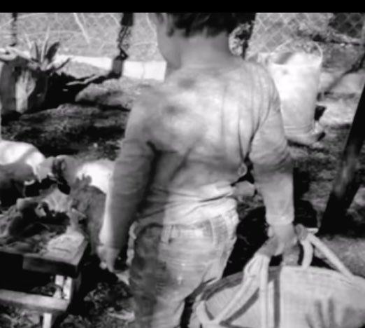 Thislilbirdies1's tweet photo. #Bookworm2 video show’s Archie’s hand holding the bucket with the thumb in the wrong position 😂. Photoshopped. The thumb should be on the other side. Markle is no genius at photoshop. #MeghanMarklelies https://t.co/n41wxyIhNK