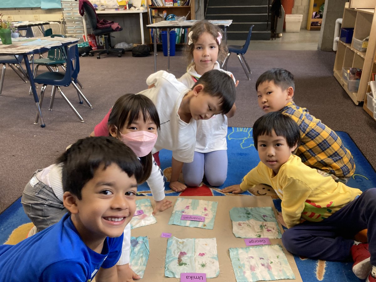 Kindergarten English Learners have learned words like "rock, roll, pound, and blend" while doing three different  dying processes with indigo that they harvested.  Tataki zome (Japanese flower and leaf pounding), fresh leaf blender extraction, and both on one piece of silk!
