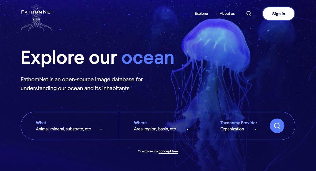KakaniKatija's tweet image. 2/ Inspired by @drfeifei @jiadeng etal #ImageNet @SergeBelongie @TsungYiLinCV etal #MSCOCO, we wanted to build an equivalent labeled set that could advance #AI approaches + #ocean research. This took 4.5 years of work to get to @FathomNet beta release at fathomnet.org.