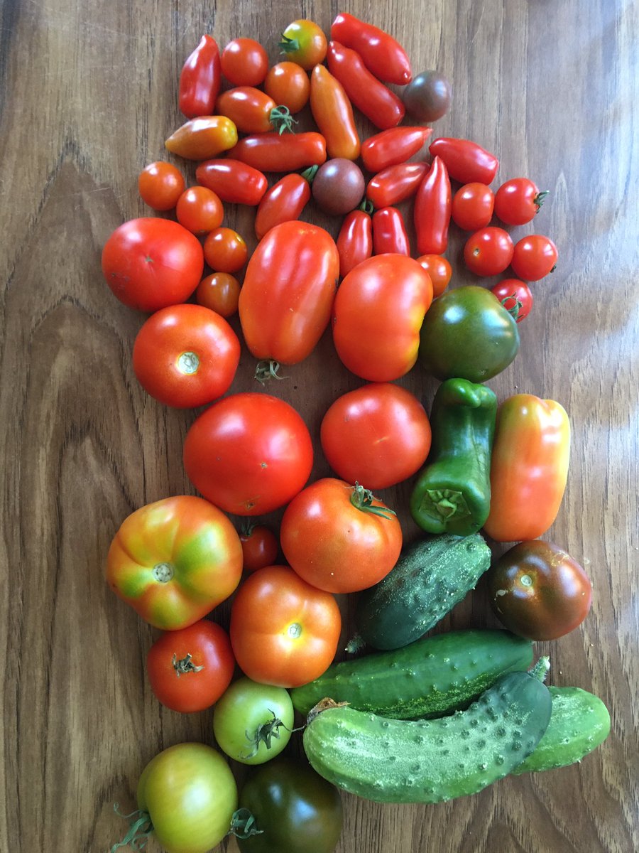 panvolta's tweet image. 