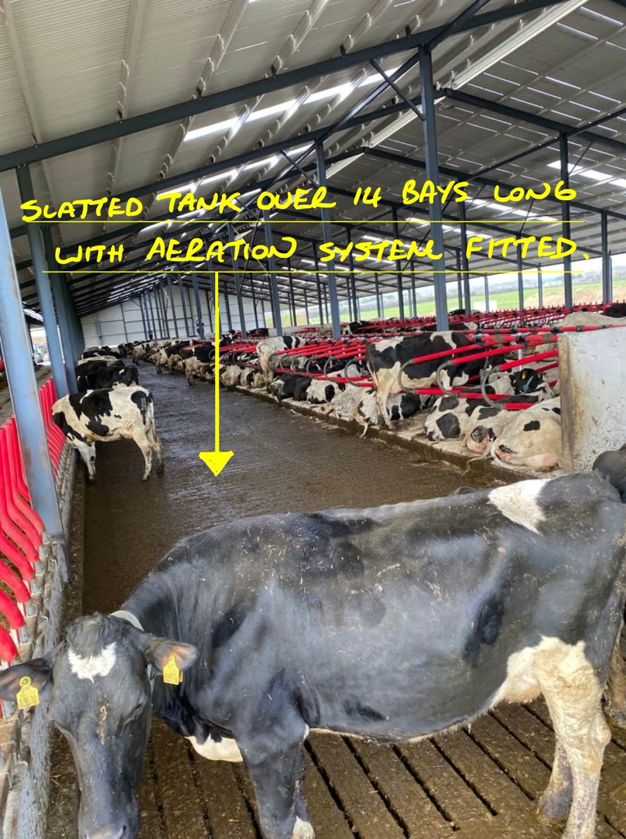 Grasstec Ltd on Twitter "A newly built 480 cow cubicle shed with