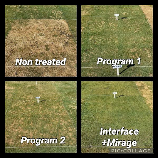 #Interface® Stressgard® and #Mirage® Stressgard® are foundational products for industry-leading snow mold control. Here are some plot photos from recent research: bit.ly/2PEMHJd