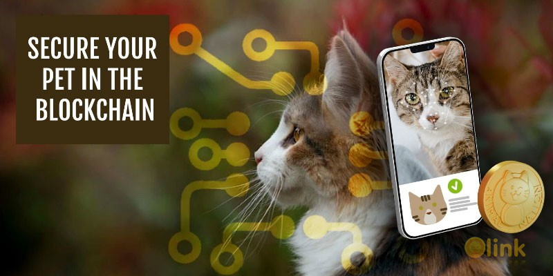 "Animal Nation" - ICO Listed with Reviews by ⭐ ICOLINK.COM Community Member #ICO #Bitcoin #BTC #Cryptocurrency #Blockchain #ICOLINK icolink.com/ico-animal-nat…