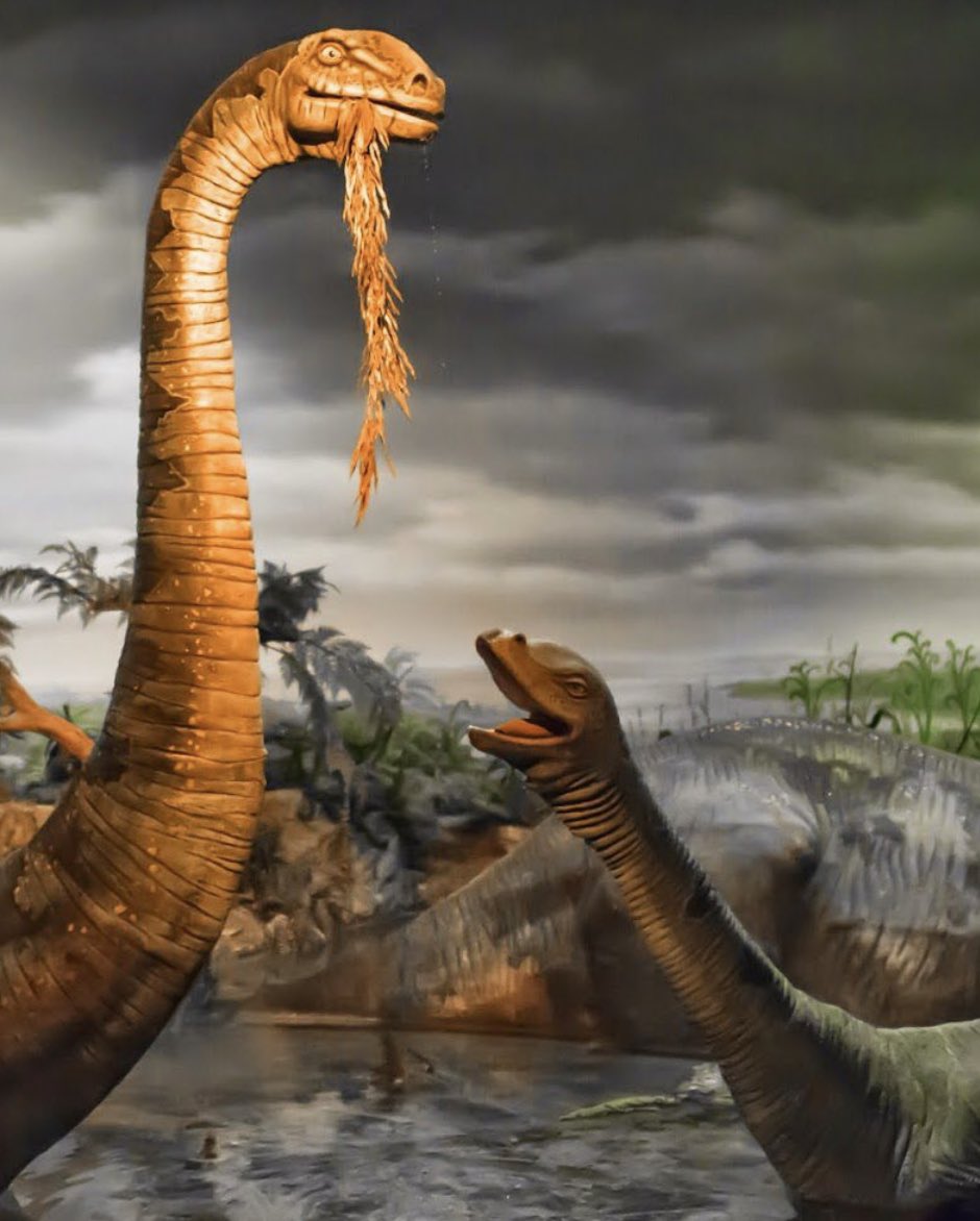 The dinosaurs didn’t even TRY to figure out how to deflect an asteroid. Just sayin’.