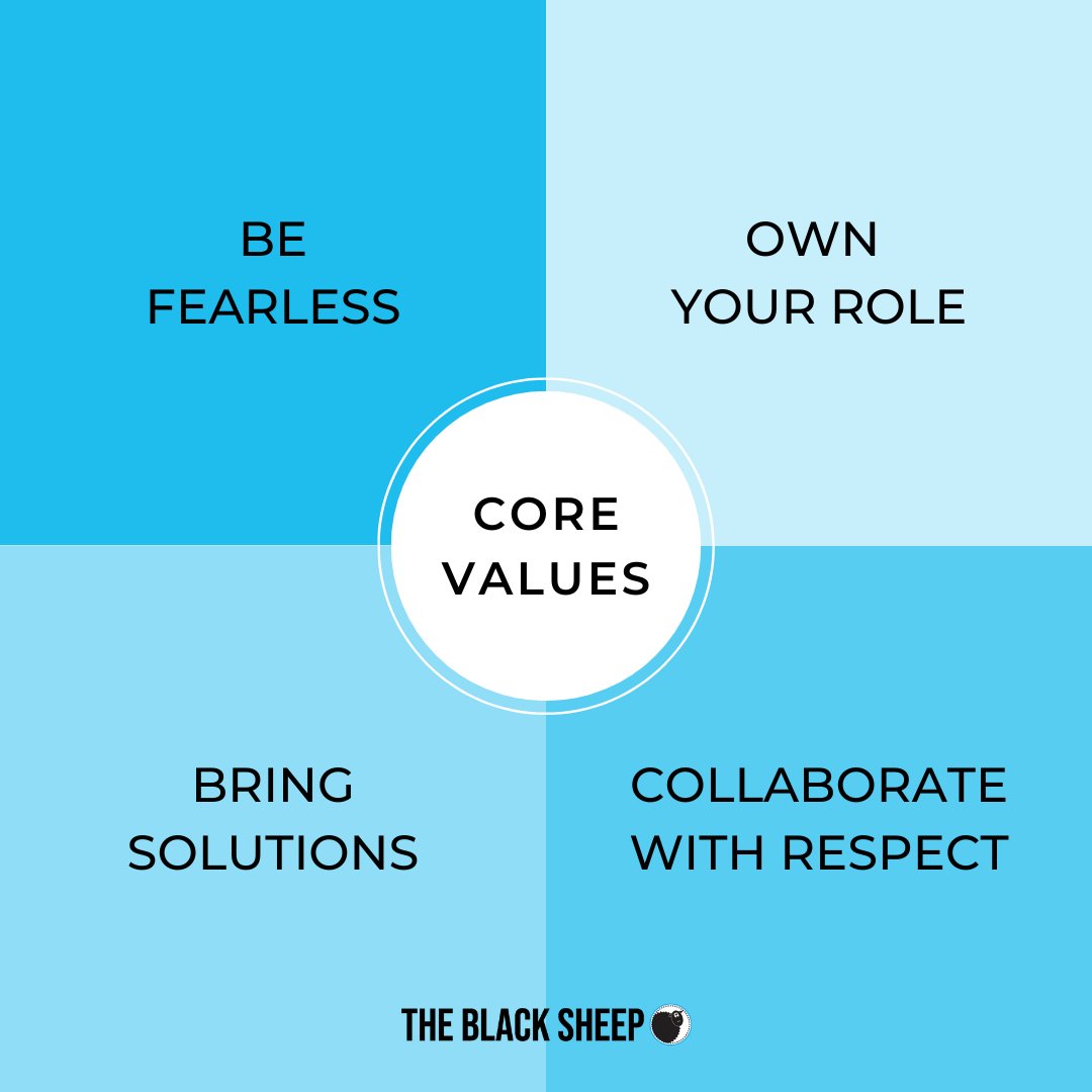 Our core values serve as a set of guiding principles that embody our ethos:
⭐️ To be proactive
⭐️ to work hard
⭐️  to be a good team member
⭐️  to work independent of oversight
⭐️  to solve problems
⭐️  and continually strive to improve your role &amp; your organization.