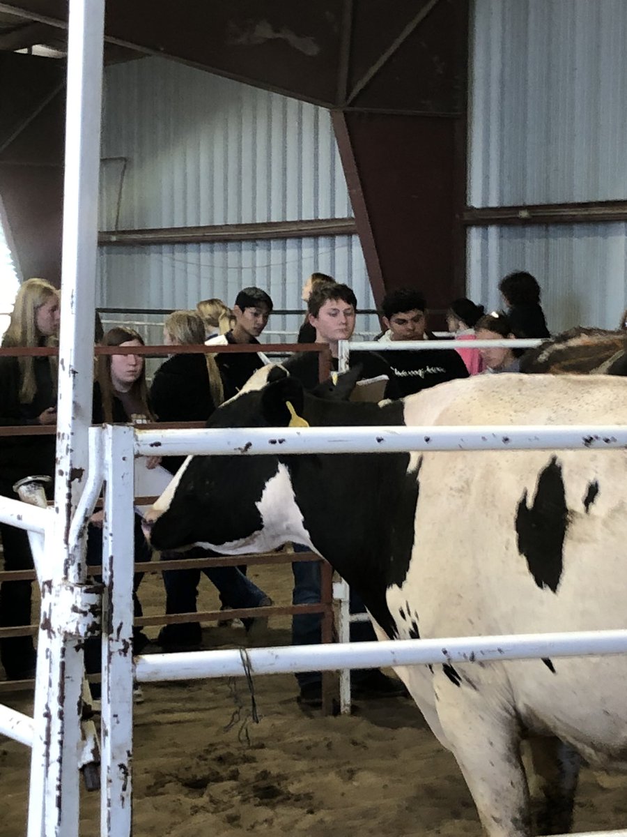 BlairAgEd's tweet photo. #blairffa @ District 3 Dairy Evaluation 
📍Wayne, NE 
Thanks to @AgMsRasmussen and crew for hosting and for @UNLExtension Wayne County for coming out to do dairy trivia! @BHSBlair https://t.co/4wfpbHMoKl