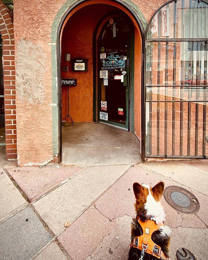 CorgMarshall's tweet image. I’m hungry! instagr.am/p/CjBPGziJQ-w/