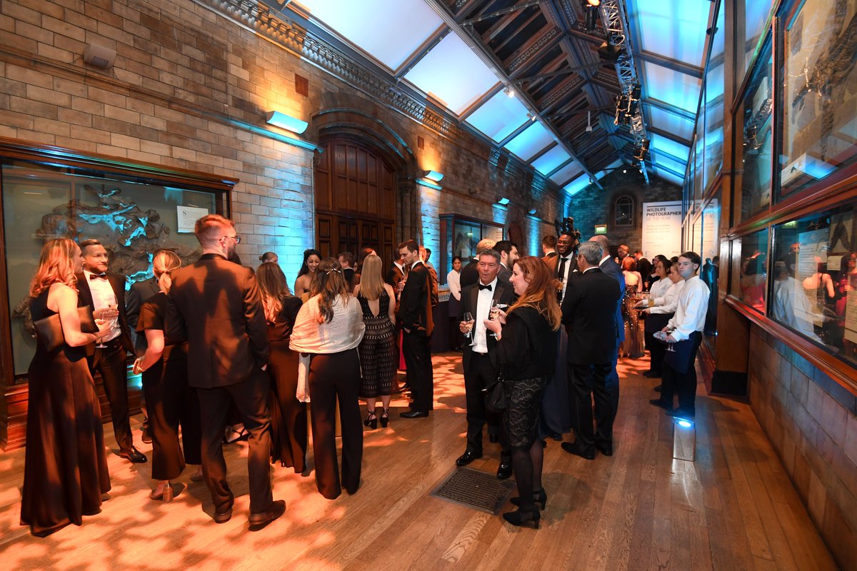 Leaders Business (@leadersbiz) on Twitter photo 4.5 billion years of history in the <a href="/NHM_London/">Natural History Museum</a>.
Ready for new chapters.
We're #LSA2022 ready. 4.5 billion years of history in the <a href="/NHM_London/">Natural History Museum</a>.
Ready for new chapters.
We're #LSA2022 ready.