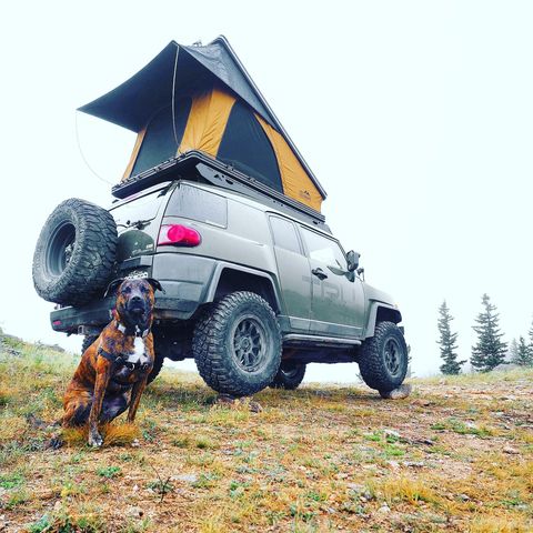 Success Story: This is Yogi after 2ish years from getting him he is living the best life, thank you for such a great pup. #happilyeverafter #hikingadventures #campingwithdogs #MansBestFriend