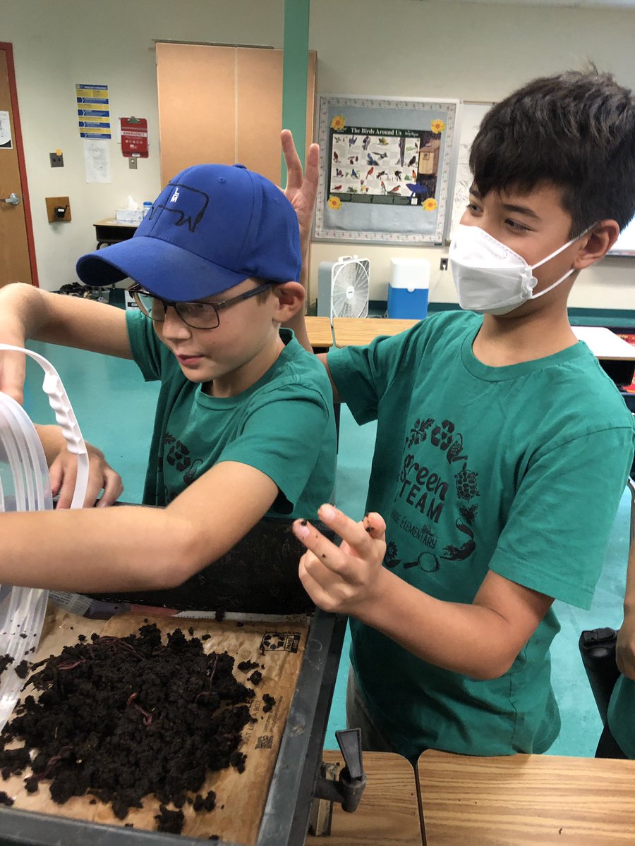 Why do worms make great friends?🪱Because they are down-to-earth!🤣 They are also incredible composters &amp; soil builders! GreenTeam started a vermicomposting bin this week to discover why worms are our trash reducing allies.#APSGreen #TuckahoeRocks <a href="/TuckahoeSchool/">Tuckahoe Elementary School</a> <a href="/APS_Sustainable/">APS Sustainability</a>