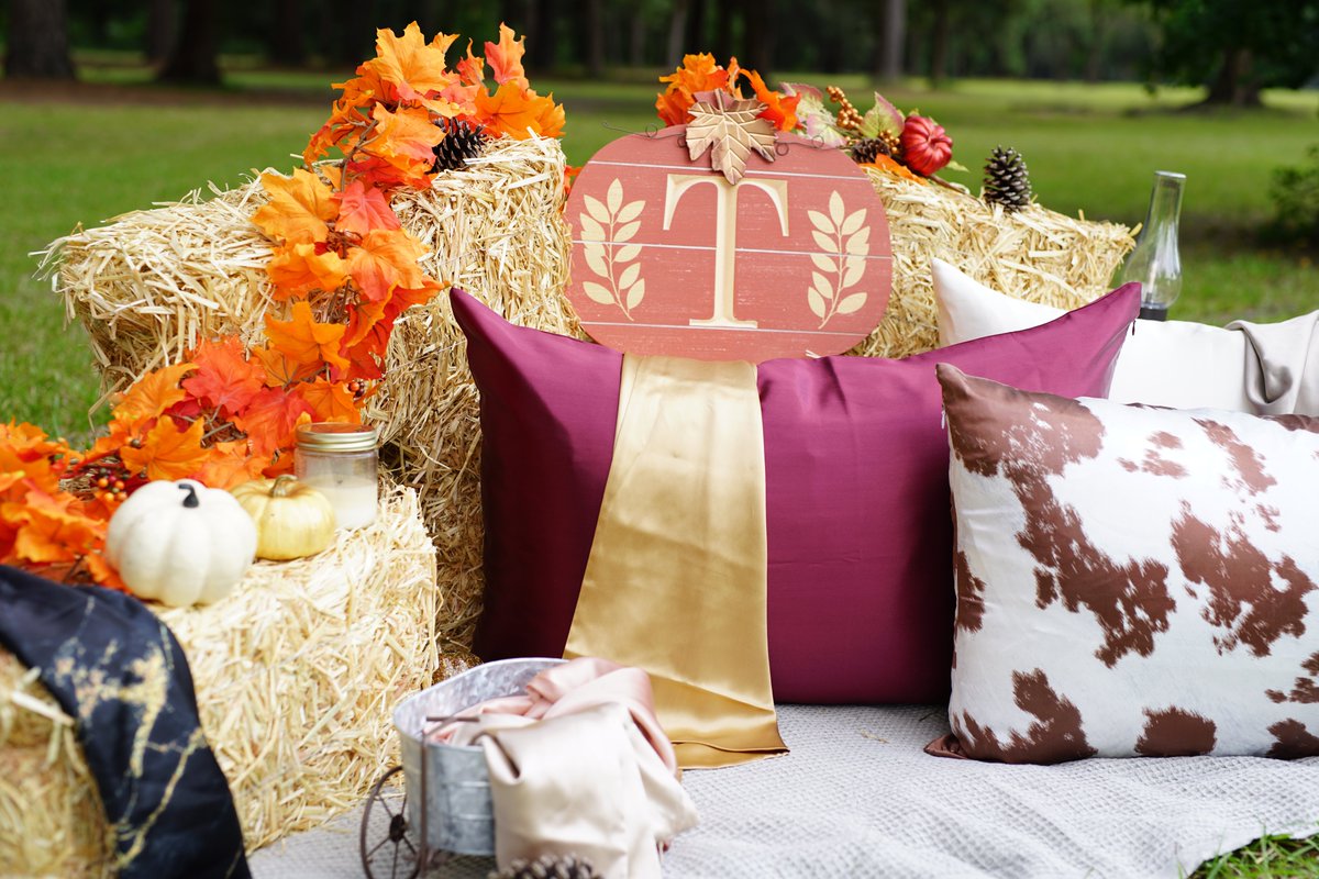 TaftsTextiles's tweet photo. 🍂Happy Fall from Tafts! 🍂

Grab your fall-colored silk pillowcases to set the cozy vibes 🍁 

#silkpillowcase #fall #fallseason #PSL https://t.co/YbtKVkHXOD