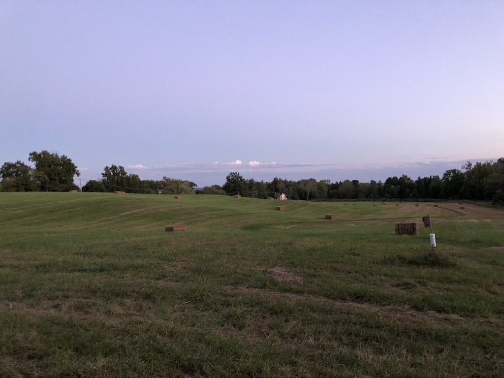 edwardbradley's tweet photo. Lucy 

Dvoor Farm 

@HunterdonLandTr 

#hikenj #hiking #hikingwithdogs #tuesdaymotivation https://t.co/ZGqDf5M8AH