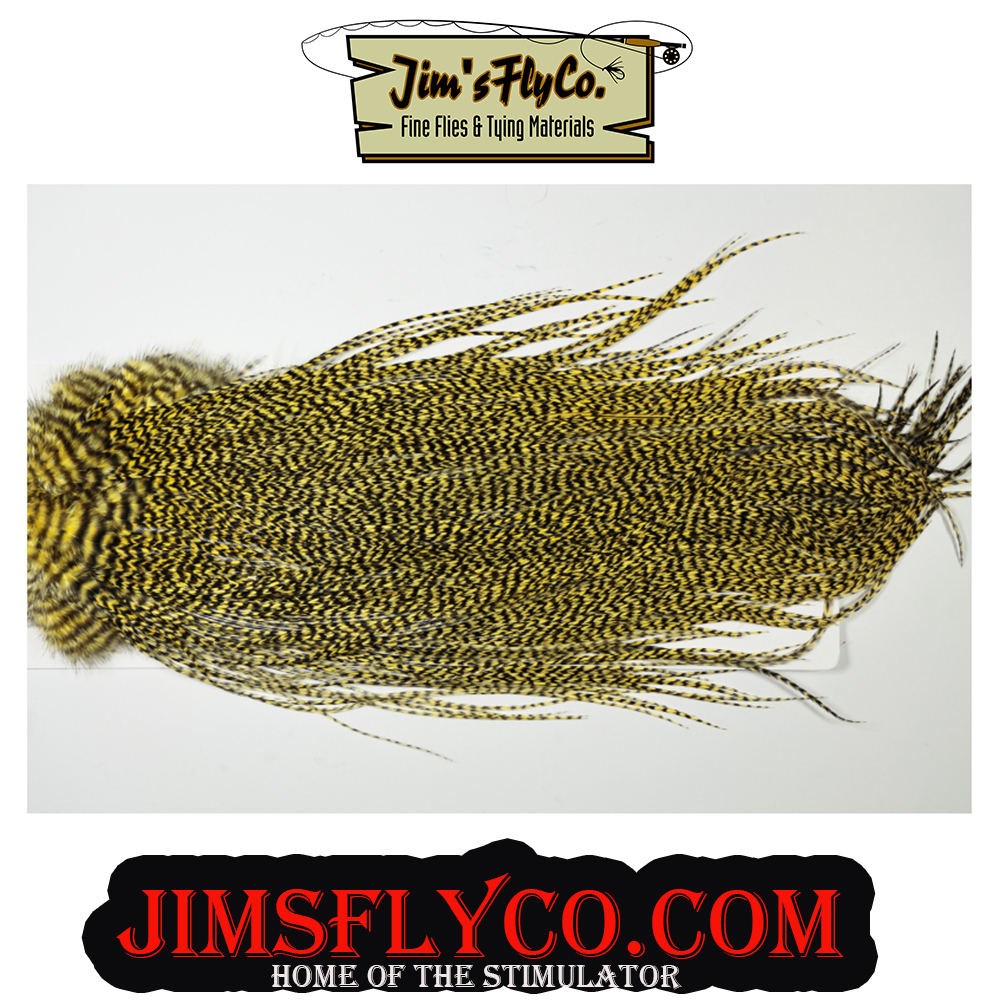 Sweet Grizzly Dyed Pale Yellow Saddle
 jimsflyco.com
&amp; check out a plethora of hackle 
Join our Facebook Group to Purchase Unique Colors  facebook.com/groups/1877560… 
:
#flytying #whitingfarms #flyfishing    #saltwaterflyfishing  #onthefly #bassfishing #muskiefishing