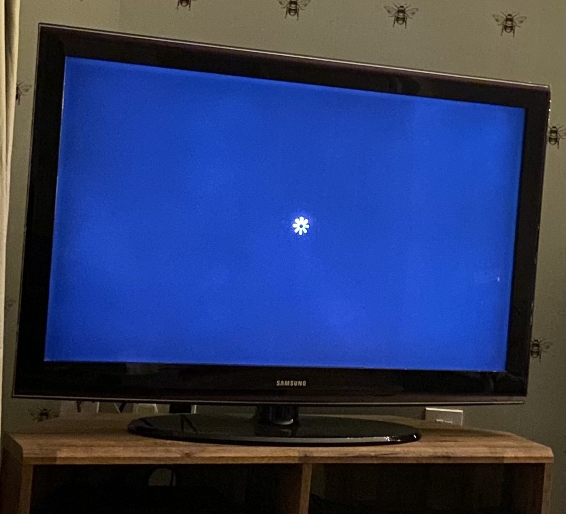 Alison Allen tweet media