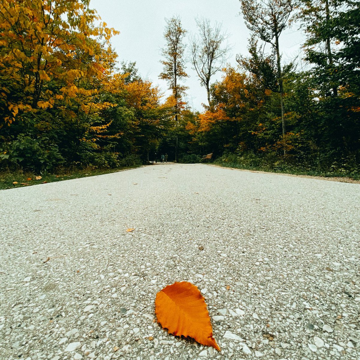 Visit Sault Ste. Marie on Twitter "Slowly but surely we're inching