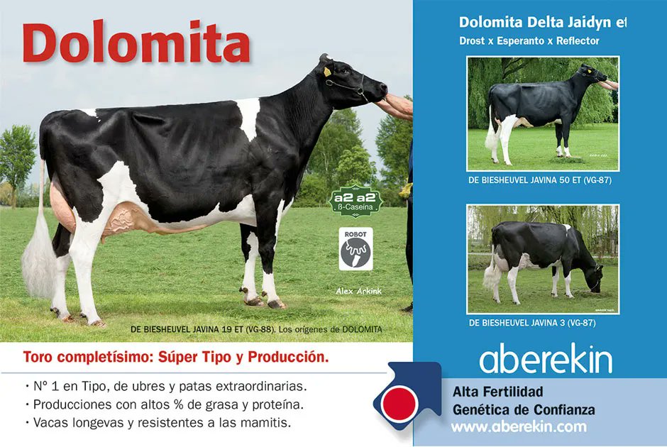 hoardsenespanol's tweet photo. ALTA FERTILIDAD GENÉTICA DE CONFIANZA. Sementales de leche, altas producciones con mucha grasa y proteína, vacas funcionales con extraordinarias ubres, longevas, resistentes a la mastitis (mamitis) y muy fértiles. Para más información entra a https://t.co/xIvanykh6y

#aberekin https://t.co/nQ6loUnQb7