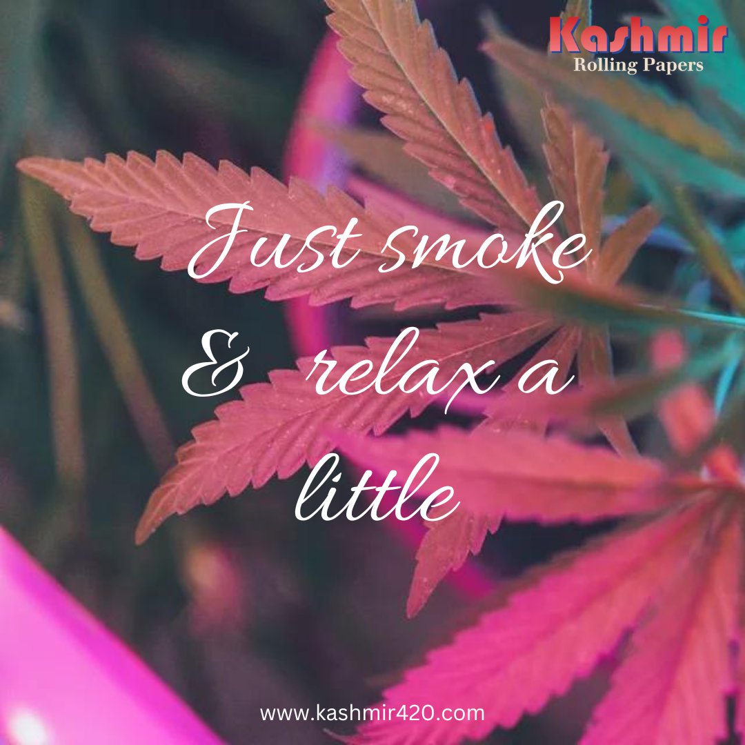Kashmir_420's tweet photo. Just smoke and relax a little!
.
Follow Us: @Kashmir_420
.
.
.
#weedmemes #Tuesdaymood #wakenbake #cannabisfacts #weedfacts #Mondayvibes #MondayMotivation #weedporn #cannabis #weedlife #cannabiscommunity #weedstagram #memes #marijuana #weedgirls #stoner #weedhumour #weedsociet https://t.co/RfjO9hIcID