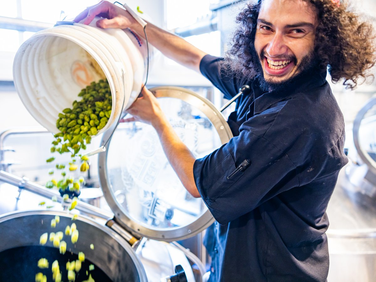 Fresh Hops Fly! 🌱✈ In partnership with <a href="/AlaskaAir/">Alaska Airlines</a> Air Cargo and @balebreaker, we had the opportunity to help <a href="/mauibrewingco/">MauiBrewingCo</a> in Hawaii and <a href="/49thStateBrew/">49th State Brewing</a> in Alaska brew their first ever Fresh Hop beers!

Read: bit.ly/3RjX5jn

📸: Ingrid Barrentine / Alaska Airlines