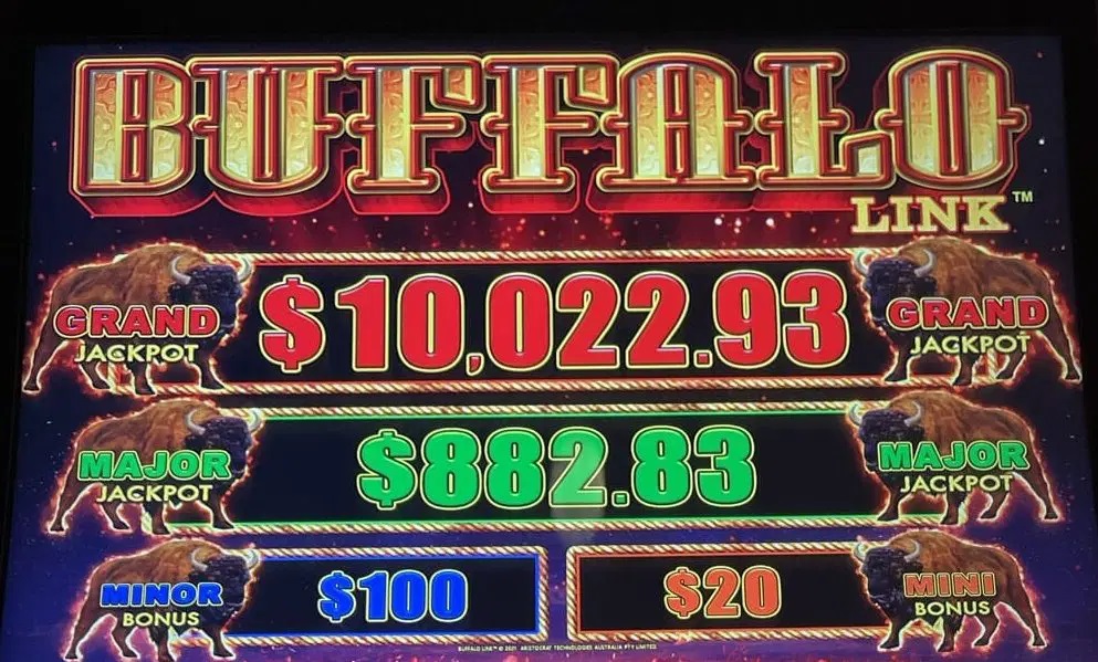 knowyourslots's tweet photo. Buffalo Link has the propensity to retrigger, like any Buffalo game, and during a bonus that means more chances to get the hold and spin, as @TheSlotCats experienced on this live:

https://t.co/dQ2HQhsGtk https://t.co/2w79VzlCgo