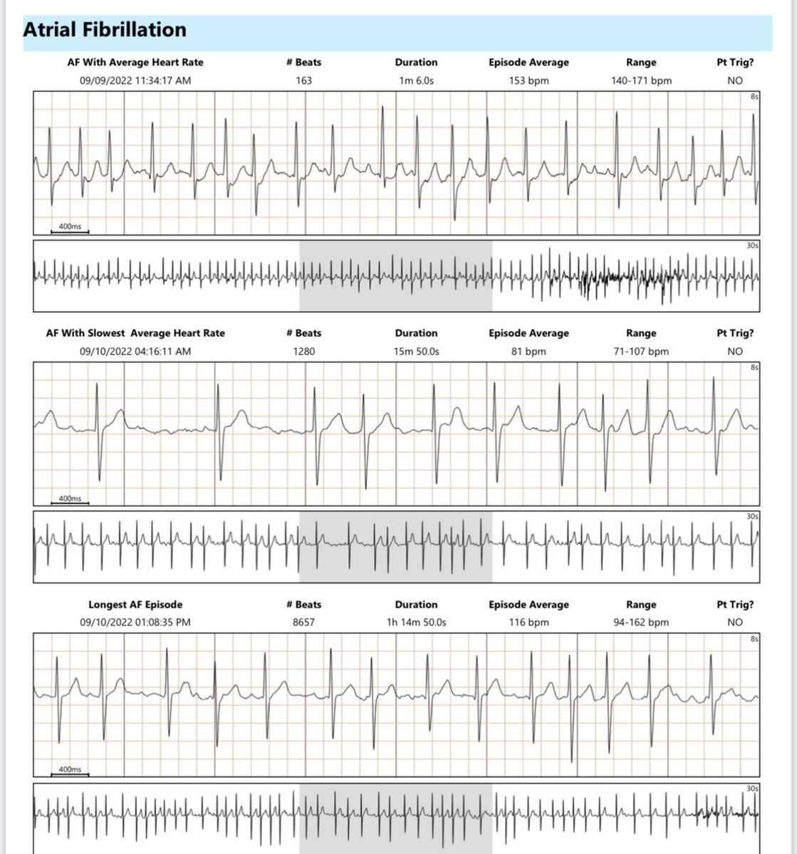 Hany Ragy tweet media