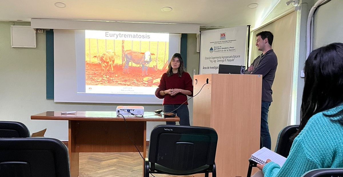 SDVEBalcarce's tweet photo. Hoy continuamos con los seminarios a cargo de los veterinarios de la Residencia Interna en Salud Animal del @INTABalcarce :
Eurytrematosis (@AdriMujica y Juan Livio)
Patogenia y diagnóstico diferencial de Histophilus y Listeria en SNC (Oriana Garcia y Yolanda Marron) https://t.co/dail16uk6H