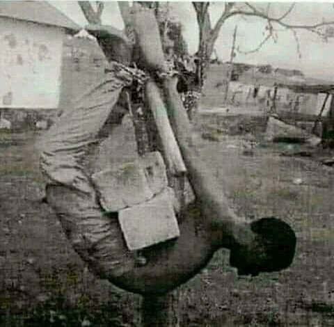 lavoixdlafrique's tweet photo. N'oubliez jamais ce qu'ils ont fait à nos ancêtres africains. Une histoire écrite dans le sang ne peut être effacée par des mensonges écrits à l'encre. https://t.co/Qq6S61QuV6