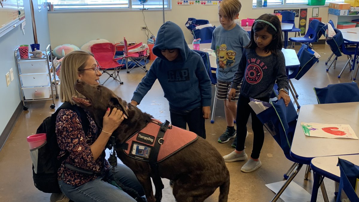 stemschoolHR's tweet photo. Even dogs like having books read to them! This morning a group of our lucky first graders had the chance to read a book to Daisy, STEM's therapy dog.
The students picked the book, 'Me on the map' by Joan Sweeney.
#stem #ignitethespark #stemstrongertogether #book #books https://t.co/4g3crqa72r