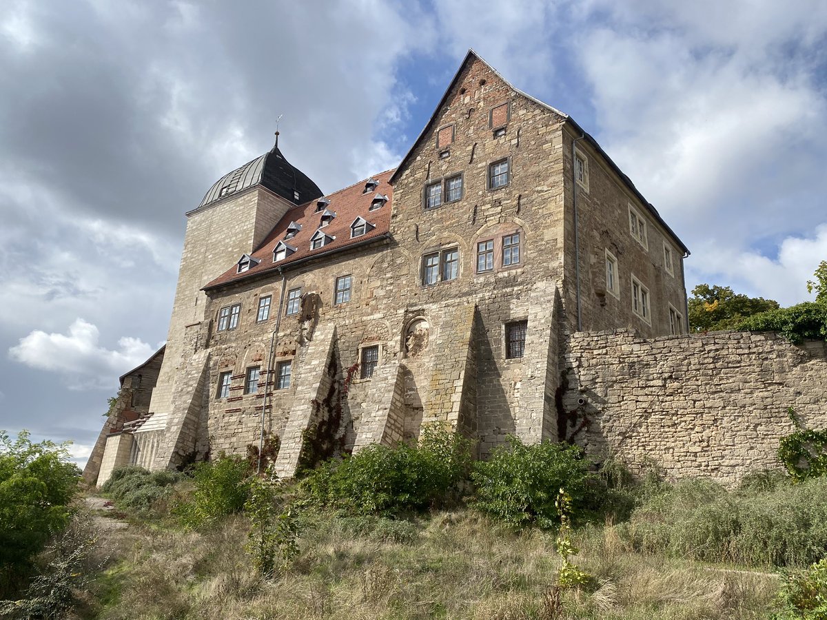 Mark Collard tweet media