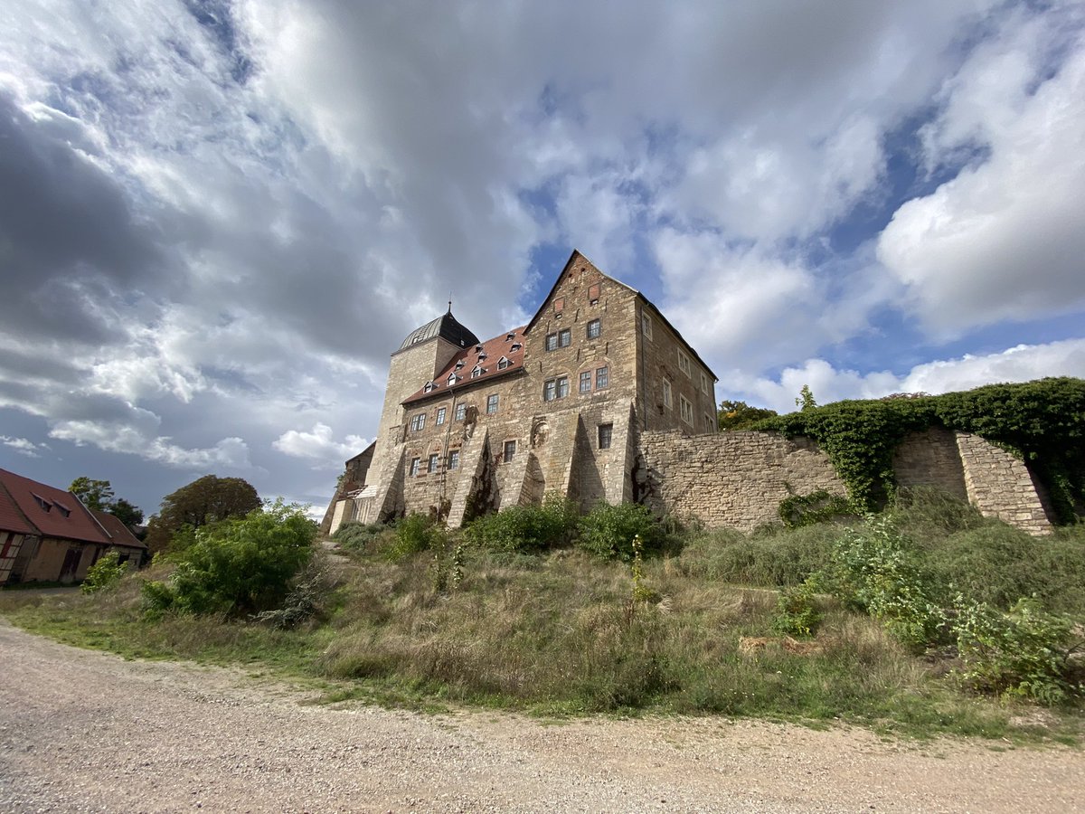 Mark Collard tweet media