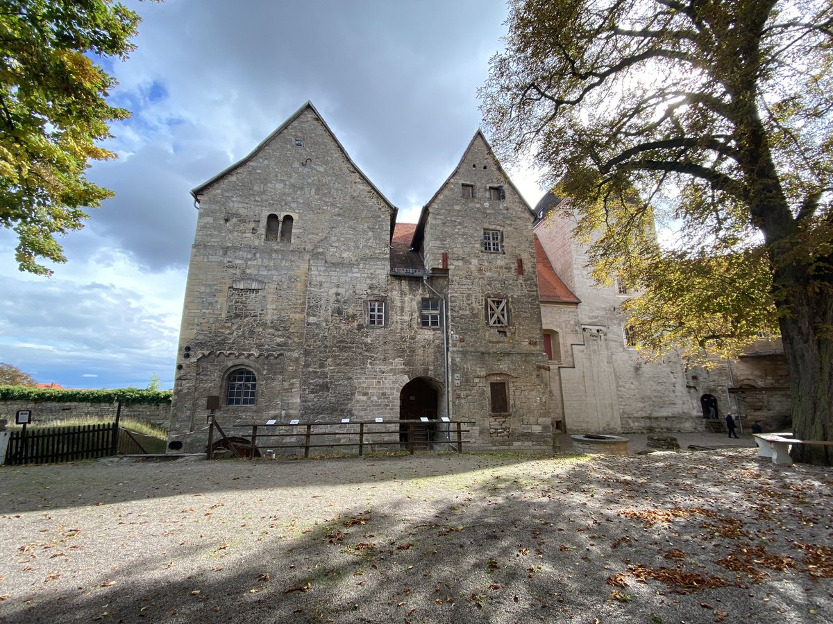 Mark Collard tweet media