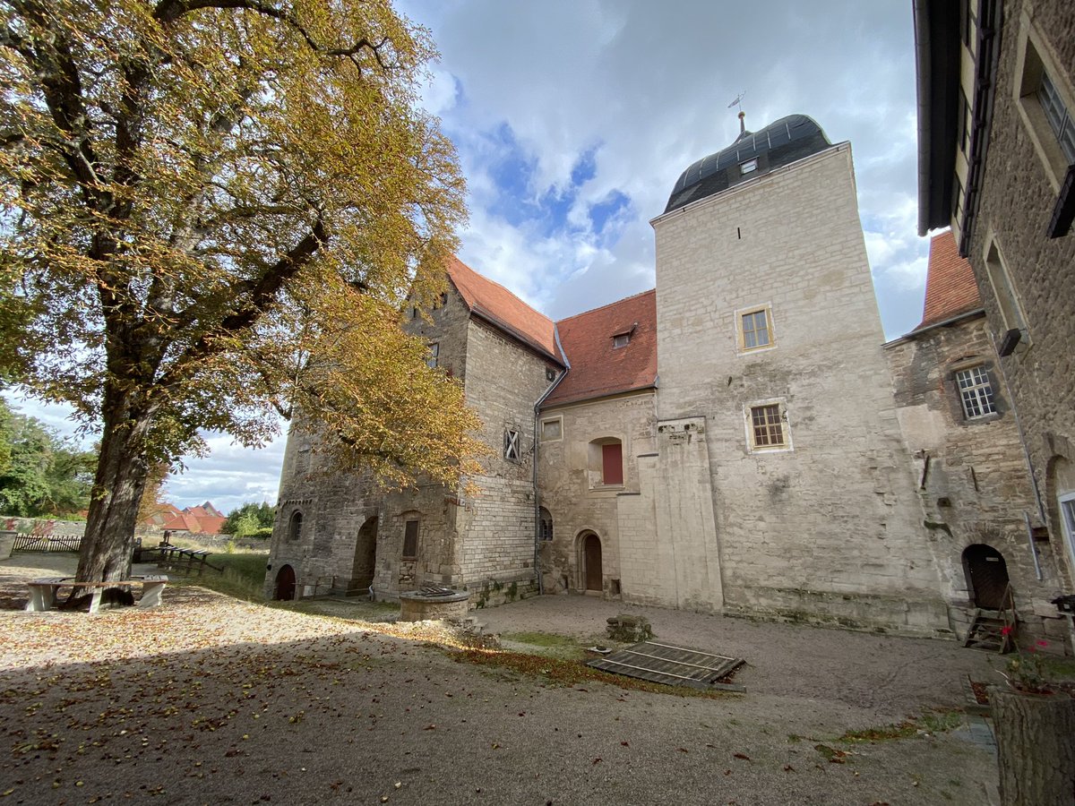 Mark Collard tweet media