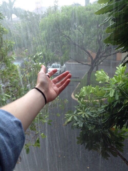 عندما أحتمي من المطر 
أبحث عن غيمة بيضاء أرتاح تحتها
وحين تسمع أنيني 
تمتص من جوارحي ألوان الألم 
فَتُمطر
#الشامخ 
#خربشات