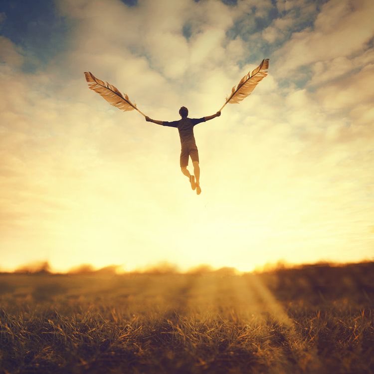 هاجرت نوارسي 
إلى حيث لا أكون 
فلا هي أصغت لندائي وعادت 
ولا أنا قادر على الطيران 
لأتبعها في رحلة اللاوفاء
#الشامخ 
#خربشات