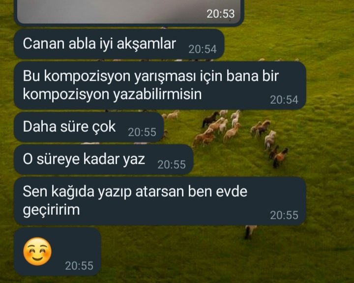 Türkçe öğretmeni oldum deyince çevredekilerin bana uyguladığı tarife...