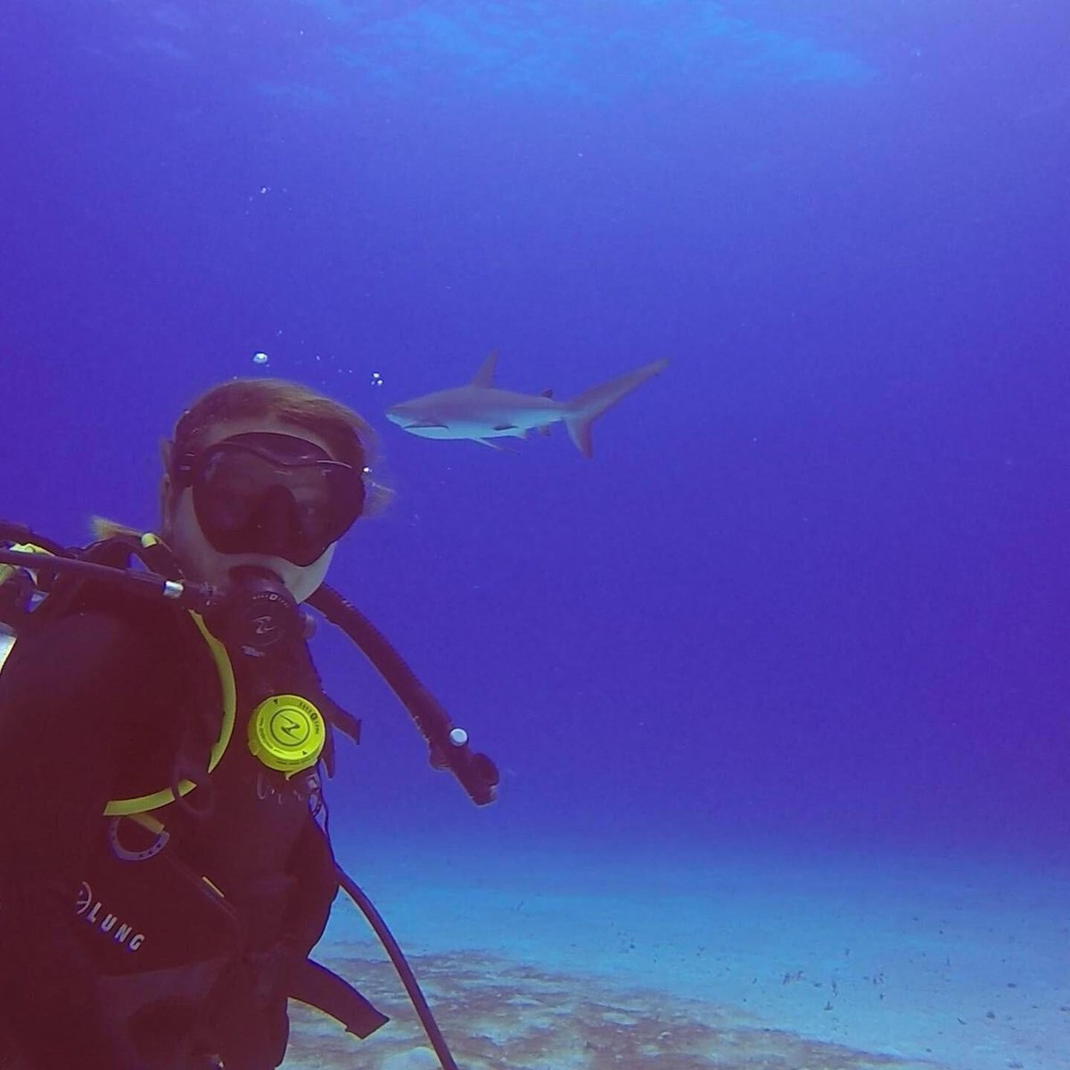 Scripps Institution of Oceanography (@scripps_ocean) on Twitter photo Fish have a lot to say, and Scripps PhD student Ella Kim is all ears. 📣🐠
Working with the Scripps Acoustic Ecology Lab (<a href="/Scripps_AEL/">Scripps Acoustic Ecology</a>), she's studying fish sounds off the West Coast and analyzing how they're affected by marine heat waves.
Meet Ella: scripps.ucsd.edu/news/scripps-s… Fish have a lot to say, and Scripps PhD student Ella Kim is all ears. 📣🐠
Working with the Scripps Acoustic Ecology Lab (<a href="/Scripps_AEL/">Scripps Acoustic Ecology</a>), she's studying fish sounds off the West Coast and analyzing how they're affected by marine heat waves.
Meet Ella: scripps.ucsd.edu/news/scripps-s…