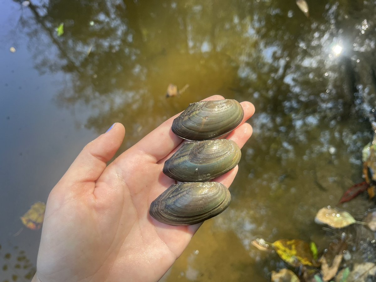 Caitlin Sweeney tweet media