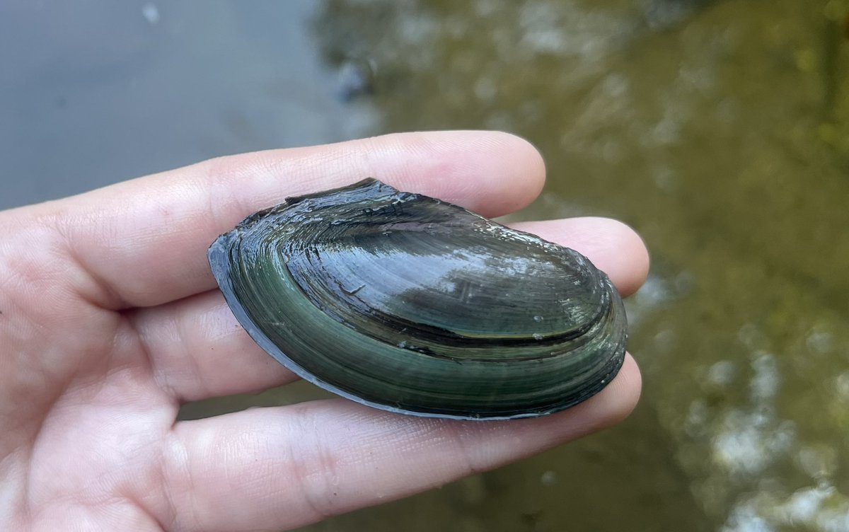 Caitlin Sweeney tweet media