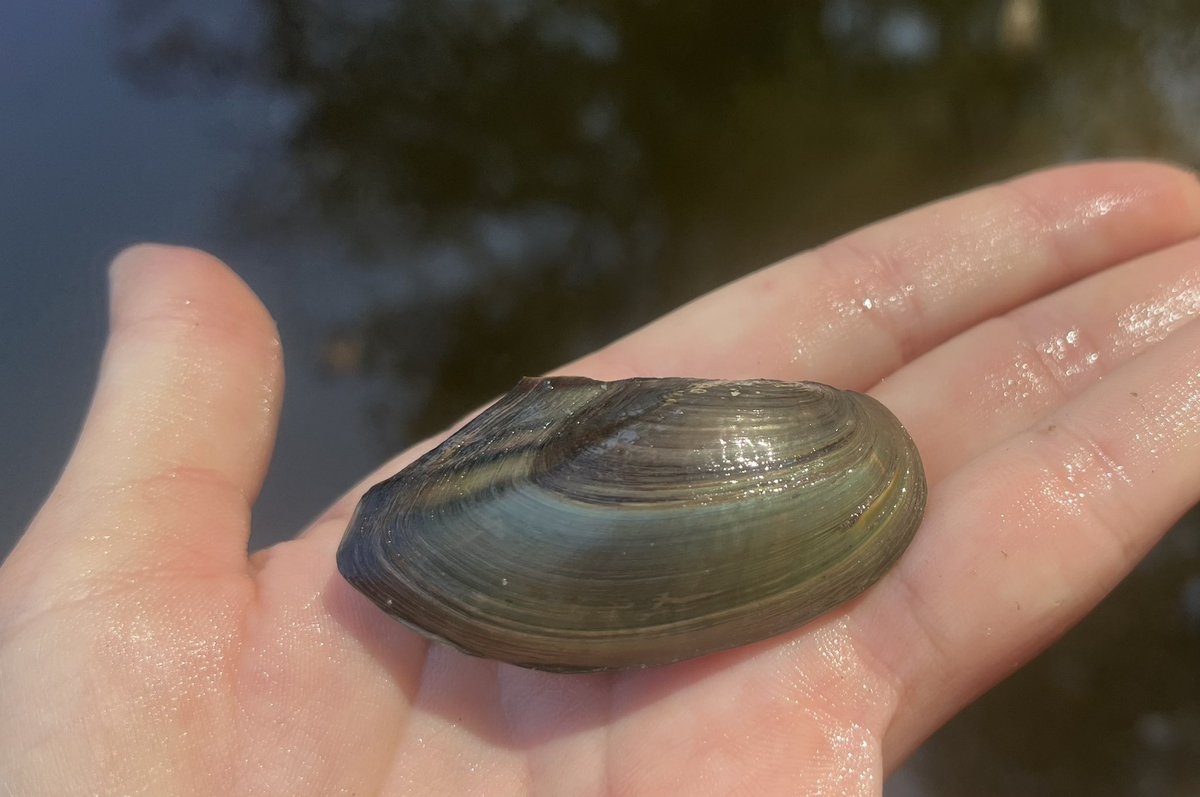 Caitlin Sweeney tweet media