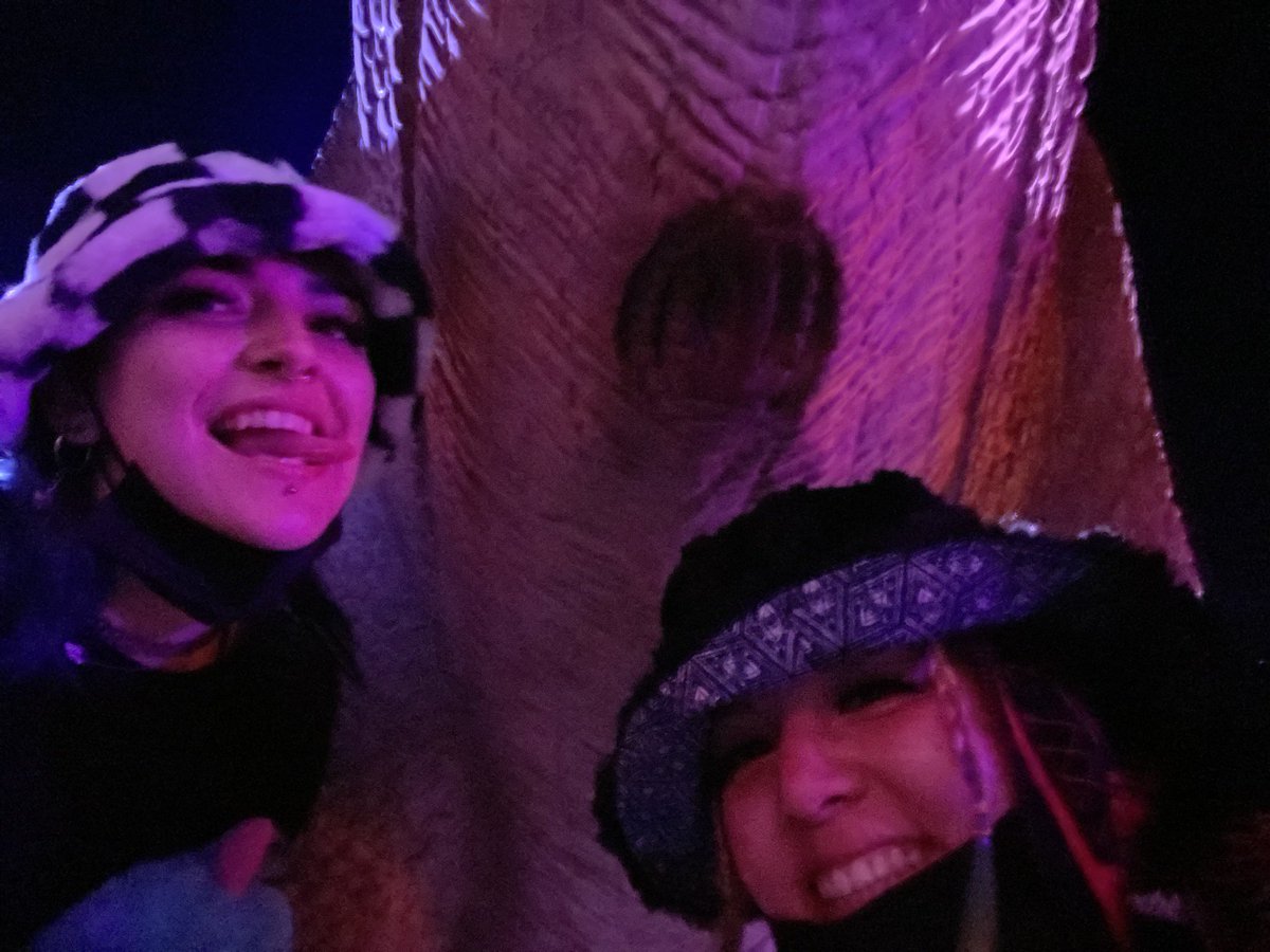 lillyw0nka's tweet photo. Everyone posting cute pics from lost lands meanwhile Anna and I literally only took pics w dinussy https://t.co/c1C2MUdXXH