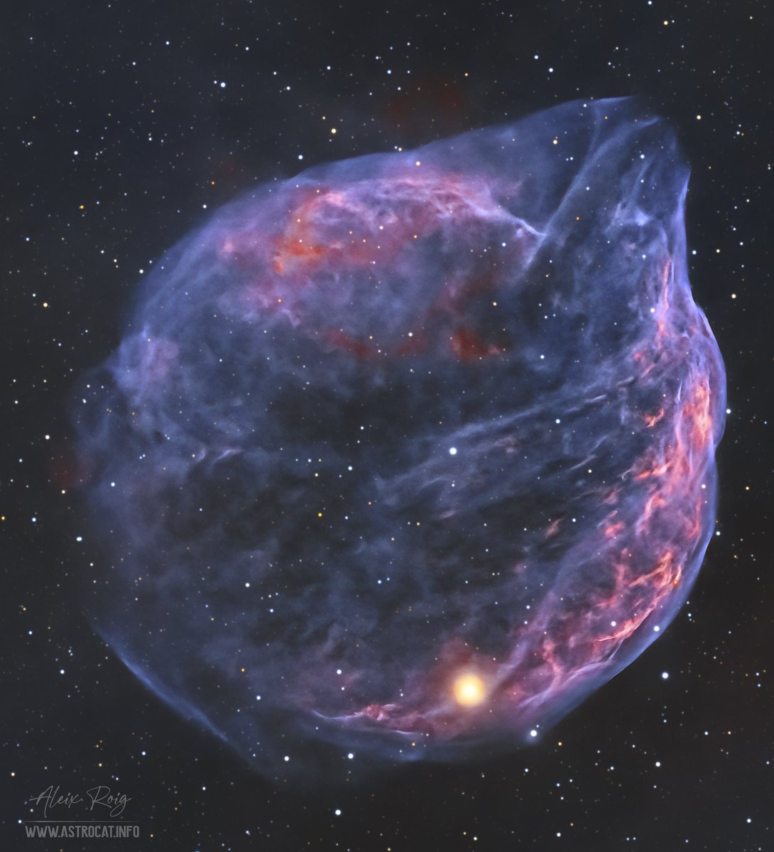 The DOLPHIN nebula 🐬