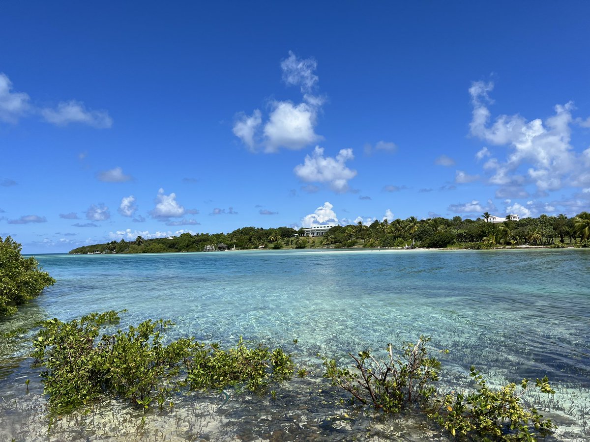 rkeithdavis's tweet photo. ONLINE AUCTION -- October 13th
Sawyer's Cay. Spanish Wells, Bahamas

--6+ acre private island
--underground utilities
--secluded beach cove

Ready to purchase your own island? This unique property offered at auction i
https://t.co/SerGB1Qc4f https://t.co/g3zGiEvrzM